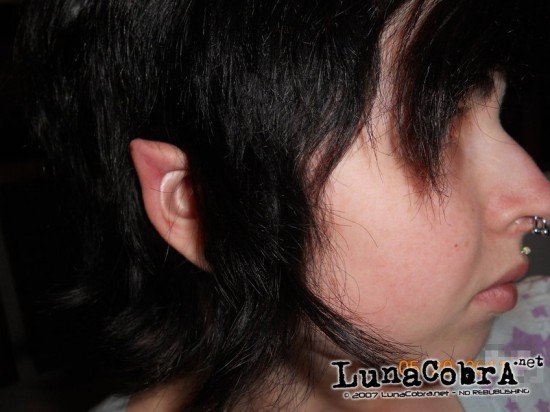 Ear Pointing Ear Pointing