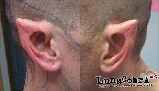 Ear Pointing Ear Pointing