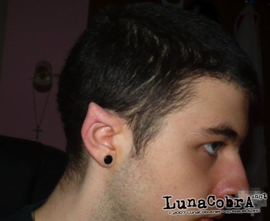 Ear Pointing Ear Pointing