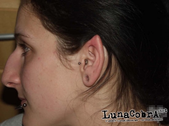Ear Pointing Ear Pointing