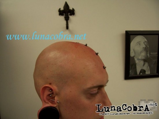 Forehead Transdermals Forehead Transdermals