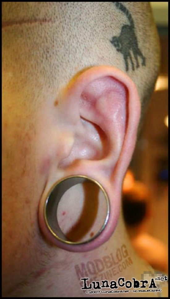 Heart in outter-conch Heart in outter-conch