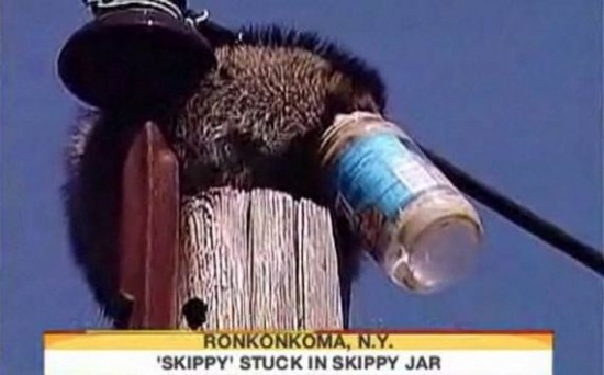 Incidents with Animals Incidents with Animals