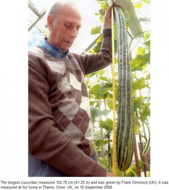 Longest cucumber Longest cucumber