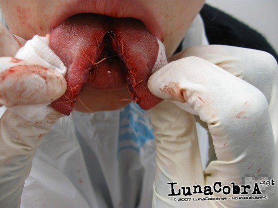 Tongue Splitting Tongue Splitting