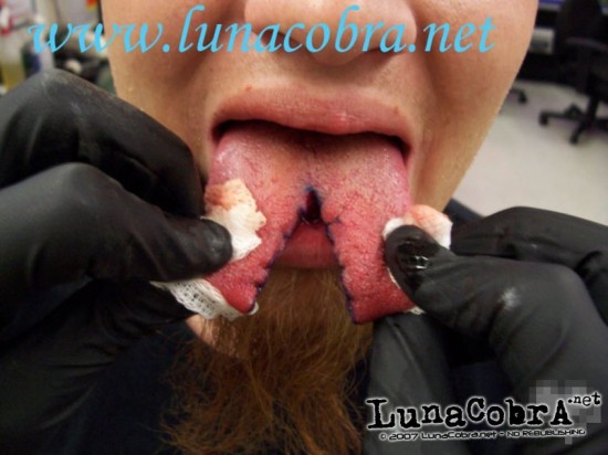 Tongue Splitting Tongue Splitting