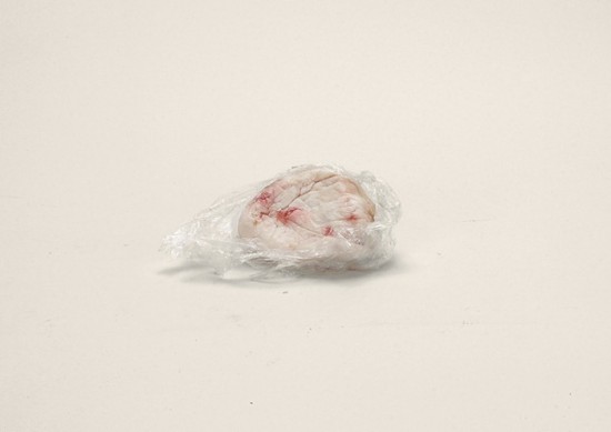 Sala lard Ukraine (9CFR.94) (prohibited) Sala lard Ukraine (9CFR.94) (prohibited)